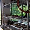 Studio Visit Isabel de Obaldia