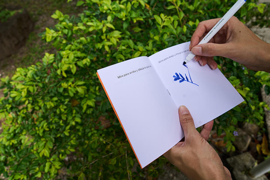 Poetic Protocols for Walking Poetic Protocols for Walking